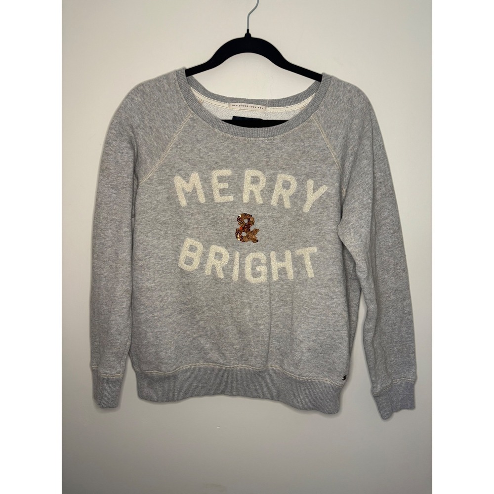 American Eagle Outfitters Merry Bright Sweatshirt Grey Sequins M